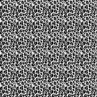 dsStella-DPJ3031 Cloudy